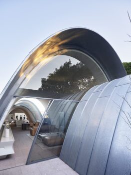 Smart Design Studio roof