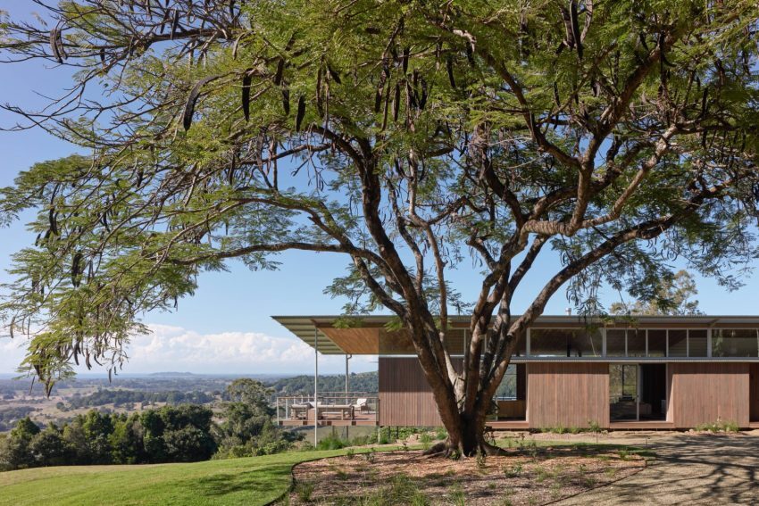 Mango Lane | DFJ Architects | Photographer: CFJ