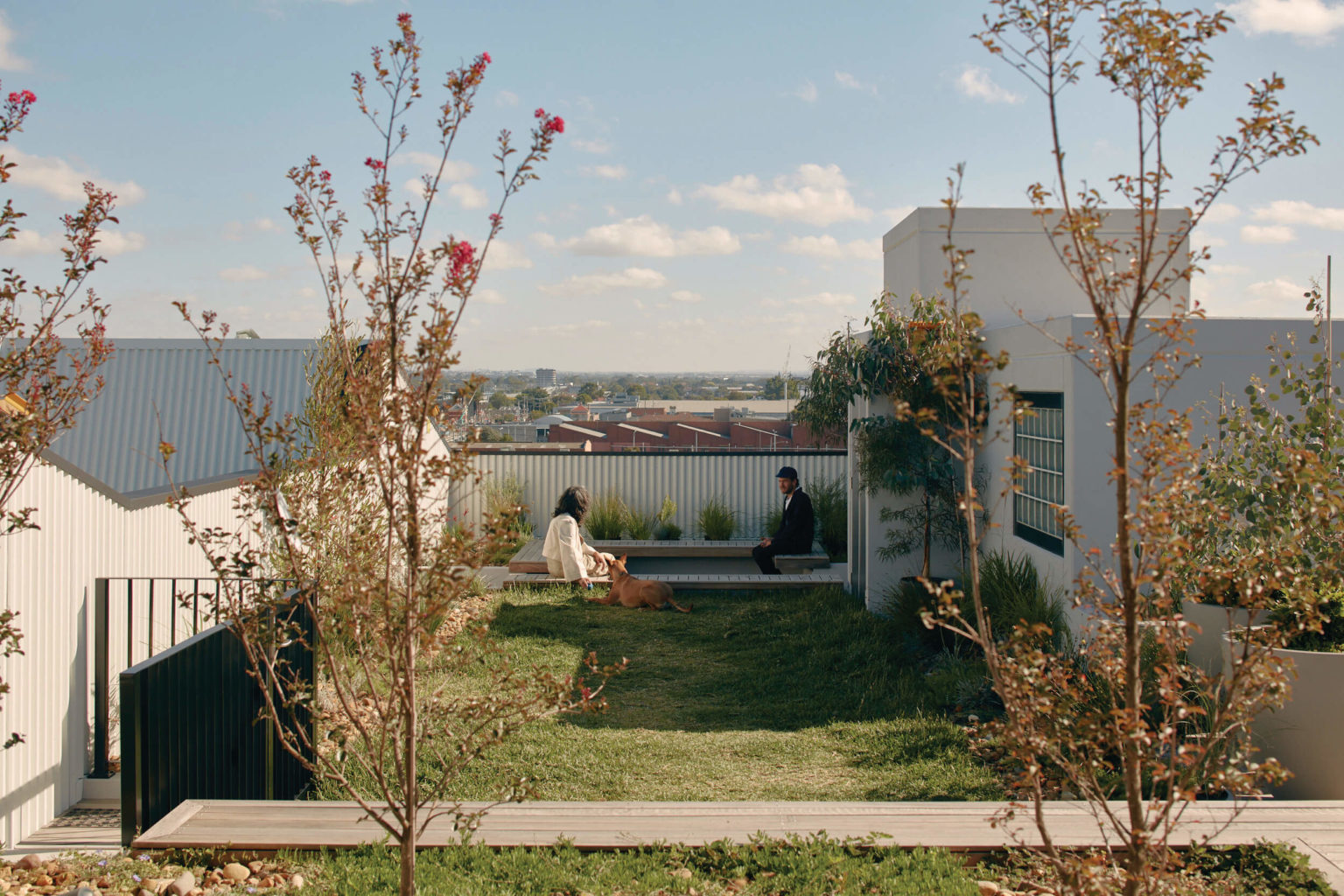 Apartment design guidelines as architecture Australian Institute of Architects