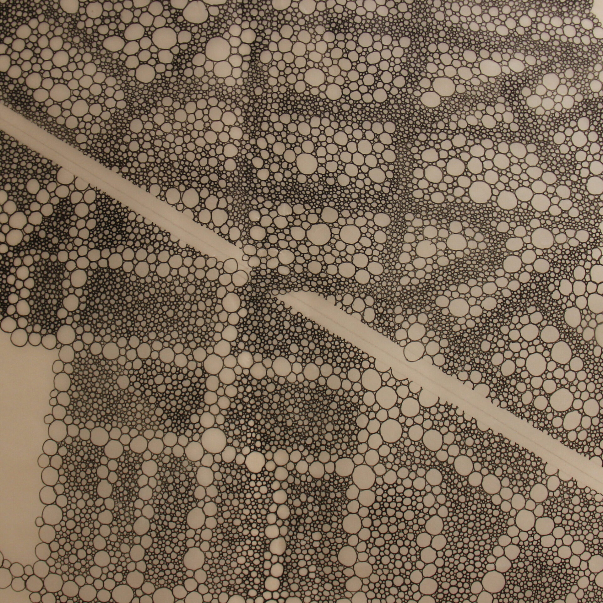 1.-Mada-Aldeeb-scaled