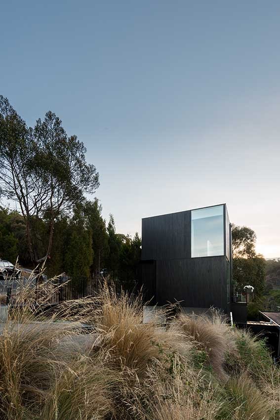 (Gr)ancillary Dwelling | Crump Architects | Photographer: Matt Sansom