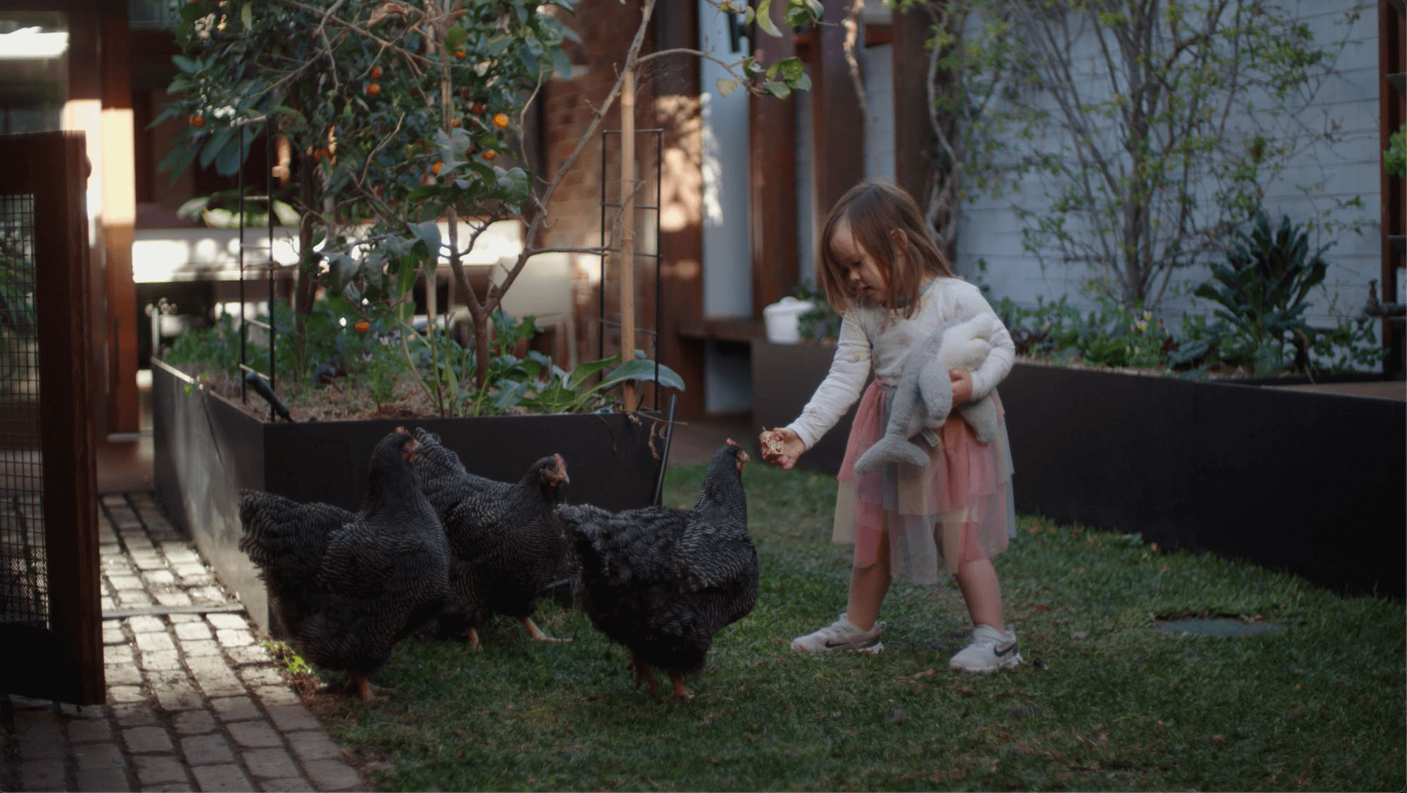 little girl feeding chickens in a garden