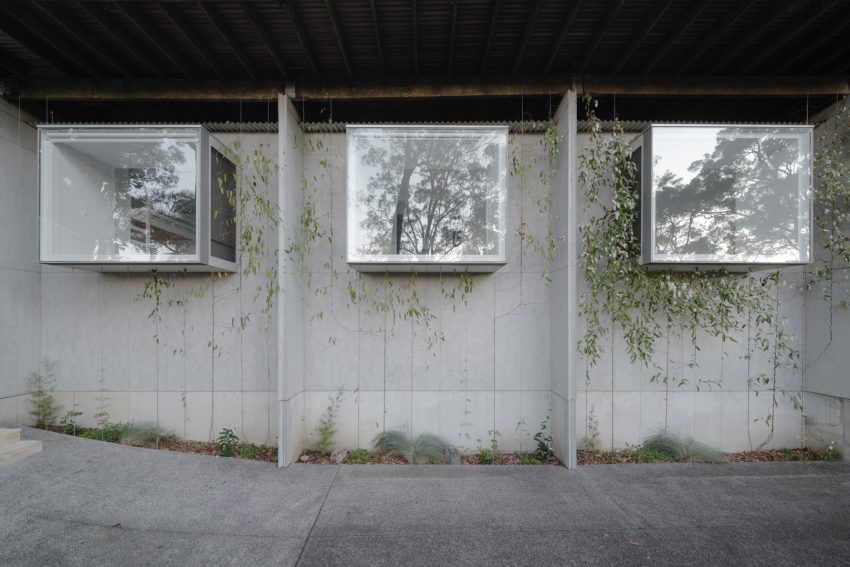 Window, window, window | PANOV—SCOTT | Photographer: Hamish McIntosh