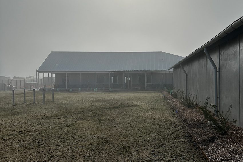 Bathurst Animal Rehoming Centre BARC | Welsh and Major | Photographer: Welsh and Major