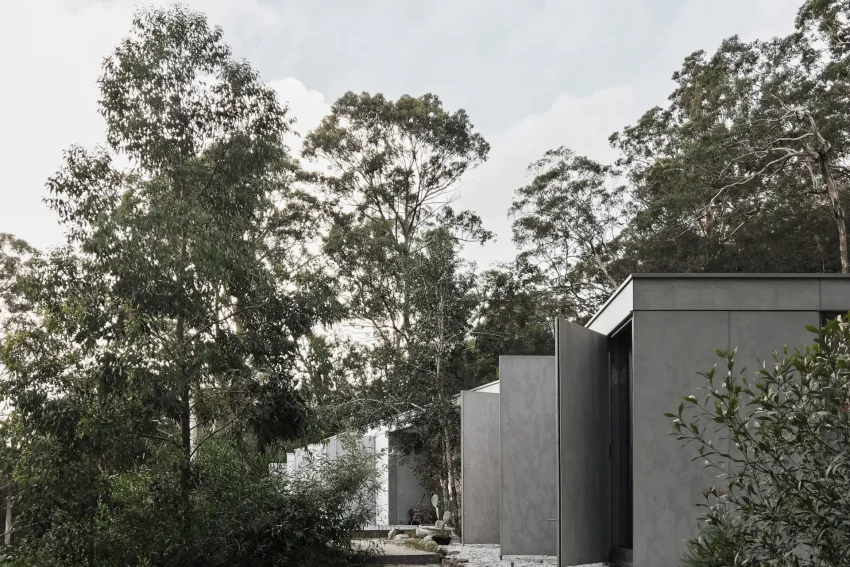 Amongst the Eucalypts | JGDW - Jason Gibney Design Workshop | Photographer: Justin Alexander